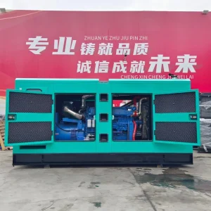 250kVA 200kW 50/60Hz 3 Phase 1500RPM Silent Canopy Soundproof Diesel Generator Set with Alternator for Standby Power