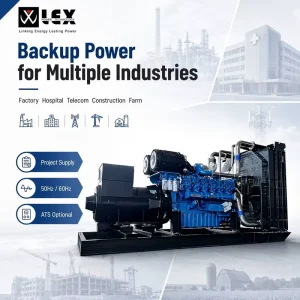 250kVA Diesel Generator Set with Engine 200kW for Offshore Platform Shipyard Heat Exchanger Included