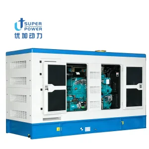 250kVA Three Phase 50/60Hz Water Cooled Diesel Generator with Alternator ATS Silent Type Low Oil Shutdown Protection