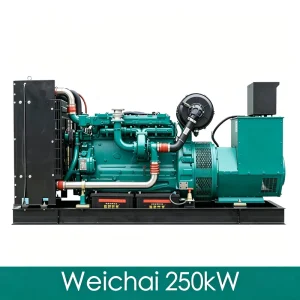 250kW 312kVA 24/7 Backup Powered by Weichai for Factory Open Type Diesel Generator