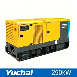 250kW 312kVA Silent Type Heavy Duty Diesel Generator Set 3 Phase Water Cooled 50Hz 60Hz Electric Start for Data Center