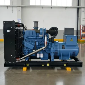 250kW 313kVA Open Frame Diesel Generator 1500rpm for Large Scale Manufacturing and Warehouse Standby
