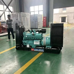 250kW 50/60Hz Frequency Generator Set High Efficiency Low Emission Open Frame with Remote Start Electric Generators
