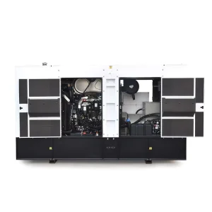250kva Diesel Generator 100kva 200kva 300kva 3 Phase Water Cooled Industrial Standby for Home Industrial Use