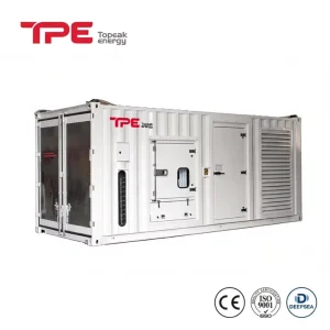 250kva Silent Diesel Generator Set Weatherproof Container with Synchronization Ready Parallel Panel
