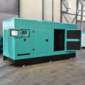 250kw 300kva 320kva Containerized Silent Diesel Generator Set Weatherproof for Desert Living Camp Oil Field Power Station