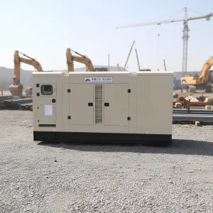 250kw Chongqing Diesel Container Generator Water Cooled Silent Industrial 312.5kva Quiet Generator for Building Trades
