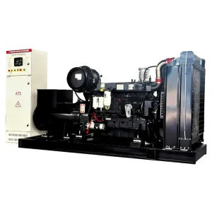 250kw Diesel Generator Set Backup Power Supply for ATS School Supermarket and Hotel 80-600kw Generator Set