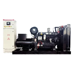 250kw diesel Generator Set Backup Power Supply for ATS School Supermarket and Hotel 80 600kw Generator Set