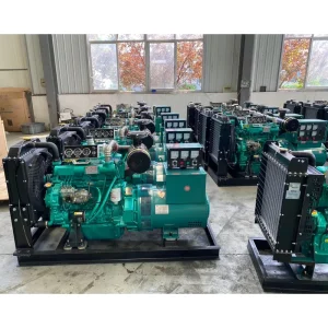 25kva Single Phase Diesel Generator 20kw 24kw 30kw Diesel Generator for Home