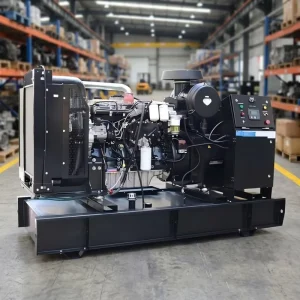 280kW 350kVA Open Frame Diesel Generator Set 2206C-E13TAG2L Water Cooled ATS Auto Start Home Commercial Backup Genset
