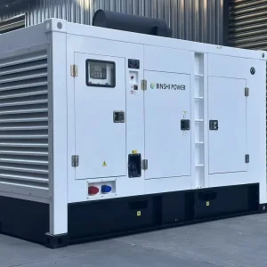 3 Phase 100 KVA Silent Diesel Generator Water Air Cooling Auto Start Soundproof Canopy for Industrial Use