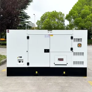 30 55KW 50KVA Electric Diesel Generator EPA CE AC Single Phase 50/60Hz Genset with ATS