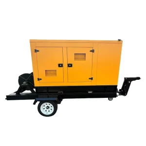 30 Kva 40Kva 100 Kva 500 Kva Silent Diesel Generator Set 50 Kva