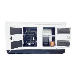 30 kilowatt Custom Generator with a sealed Enclosure Water cooled diesel Generator Project Outdoor Backup Power Generation Set