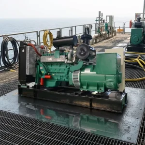 300KW 375KVA Single Phase 50Hz 60Hz Open Frame Generator Set for Offshore Engineering Facilities