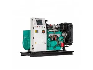 300KW CNG LPG Dual Fuel Generator Set Heavy Duty Industrial Power Solution