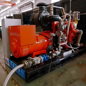 300kW 375kVA Industrial Natural Gas Generator CNG/LNG/LPG/Methane Fuel Silent 50/60Hz 100% Copper Alternator ATS Smart Control