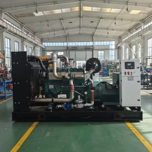 300kW Gas Generator Set Natural Gas Biogas 1800 RPM Weichai Engine 24V DC Electric Start 50 60Hz Energy saving High efficiency
