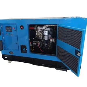 300kW Single Cylinder Stamford Water Cooled IP23 Silent Diesel Natural Gas Biogas Biomass Syngas 50 60Hz Automatic CE