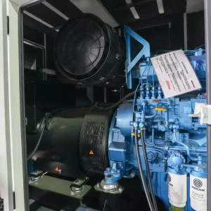 300kw 320kw 350kw Containerized Silent Diesel Generator with Remote Monitoring System
