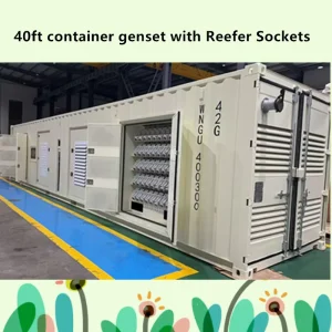 300kw 500kva 1000kva for Diesel Engine Stamford Containerized Generator Reefer Containerized Generator Railway