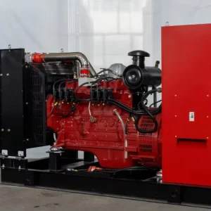 300kw Natural Gas Power Generating SetPower EngineGenerator 50Hz 1500rpm Dual Fuel Wood Gas Diesel Biogas Biomass Generator Set