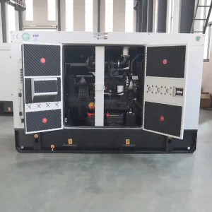 30kVA 40kVA 50kVA 60kVA Diesel Generator Set Super Silent Diesel Generator ATS Emergency Standby Power Customized