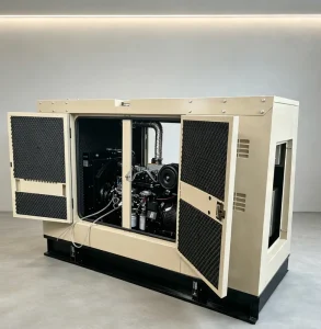 30kW 3 Phase ATS Auto Start Emergency Power Supply Portable Silent Diesel Generator Genset for Industrial Use