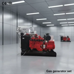 30kw 40kw 50kw 60kw 100kw 200kw 250kw 300kw Small Biogas Electric Power Generator with Biogas Purification System