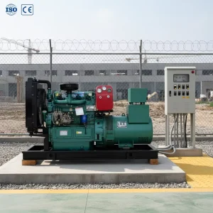 30kw Ricardo Diesel Engine CE ISO Factory Direct Price Free Global Shipping