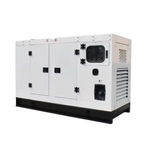 30kw Silent Diesel Generator Silent Generator Diesel Generator 3 Phase 20kv Diesel Silent Canopy