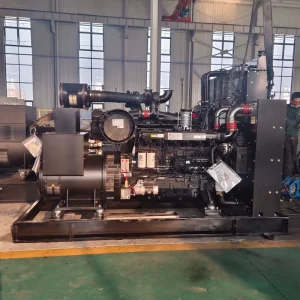 315kva 250KW Open Frame Diesel Generator Set with Easy Maintenance 50Hz ATS