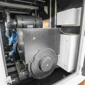 320kw 350kw Containerized Silent Diesel Generator with Remote Monitoring System