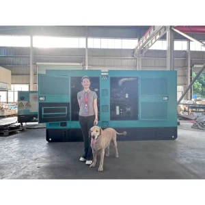 320kw 400kva 240kw 300kva Diesel Generator 3 Phase Standby Intelligent Alternator Power Plant Gensets Silent Type ATS