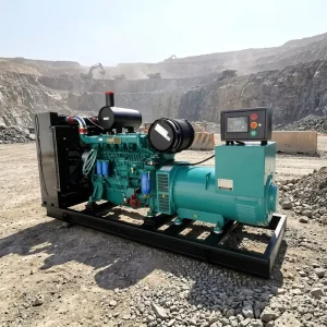 350KW 437.5KVA Single Phase 3 Phase 50HZ Silent Diesel Generator Set Continuous Power for Mining Field Operation Systems