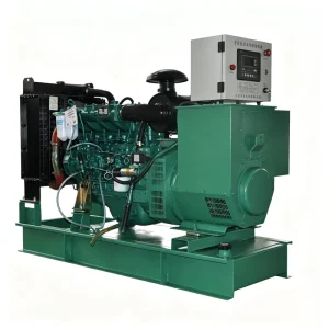 40KW 50KVA 3 Phase 50hz Silent Diesel Generator Set Euro III Low Noise Emergency Power for Shop Villa Office Building