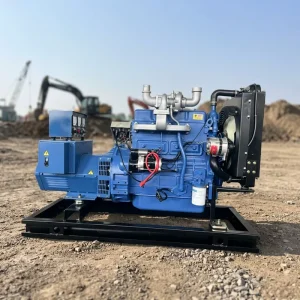 40KW 50KVA Single Phase 50hz 60hz Diesel Generator Set Euro 3 Certified for Lesotho Mountain Irrigation Station