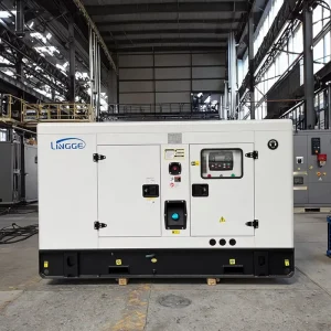 40ft 1600kW 2000kVA 3MW 5MW 4 Cylinder Diesel Generator 50 60Hz Silent Type Auto Start ATS