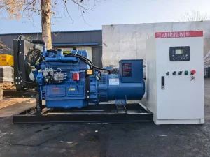 40kVA 30kW Single Phase 380V 50Hz Soundproof Silent Canopy Diesel Generator with Remote Control for Temporary Power