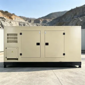 40kW Portable Silent Diesel Generator 100% Copper Alternator ISO Certified Auto Remote Start For Remote Area Power Generation
