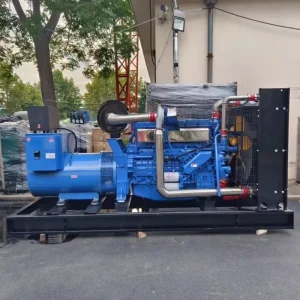 440kVA 350kW Auto Start ATS Open Frame Soundproof Silent Canopy Diesel Generator Set for Tunnel Construction