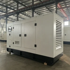 500kw Silent Type Diesel Generator Set Remote Control ATS Options Mechanical Speed Regulation 50/60hz Factory