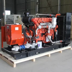50Kva 60Kva 70 Kva 80 Kva 100 kw 200 kw 500kva Silent Open Type Diesel Natural Gas Biogas Biomass Gas Syngas Water Cooled Power