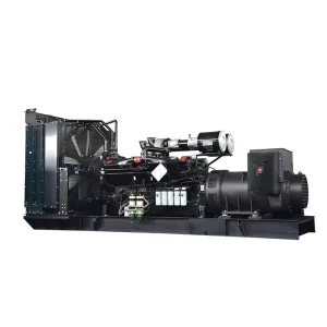 50hz 60hz 1000kW Cummins Engine Stamford Alternator Diesel Generator with Automatic Transfer Switch
