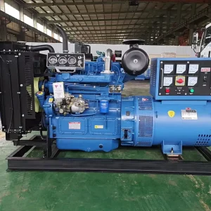 50kVA 3 Phase 50kW Silent Diesel Generator Remote Control Open Frame Water Cooled 12V DC Electric Start Ricardo Diesel Engine