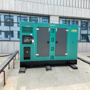 50kVA Diesel Generator Set Silent Type Water Cooled Three Phase Power Genset