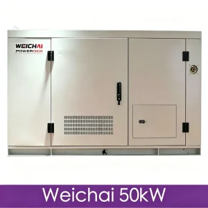 50kW 62kVA Reliable High Efficiency Fast Startup Powered by Weichai for Villa Soundproof Silent Type Diesel Generator Generador