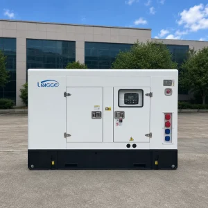 50kW 63kVA Silent Type Low Fuel Consumption Diesel Generator 3 Phase Water Cooled Electric Start for Hospital & Telecom Station