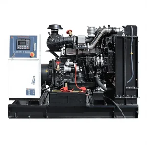 50kW Diesel Generator 50kVA Silent Power Plant 3 Phase Prime & Standby Power for Factory Farm Hospital 100kw 200kw 300kw 400kw